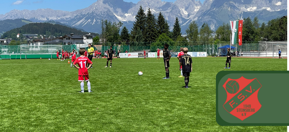 Neues Spiel, neues Ziel: Der FSV Steinsberg 1949 e.V.  setzt auf grüne Technik