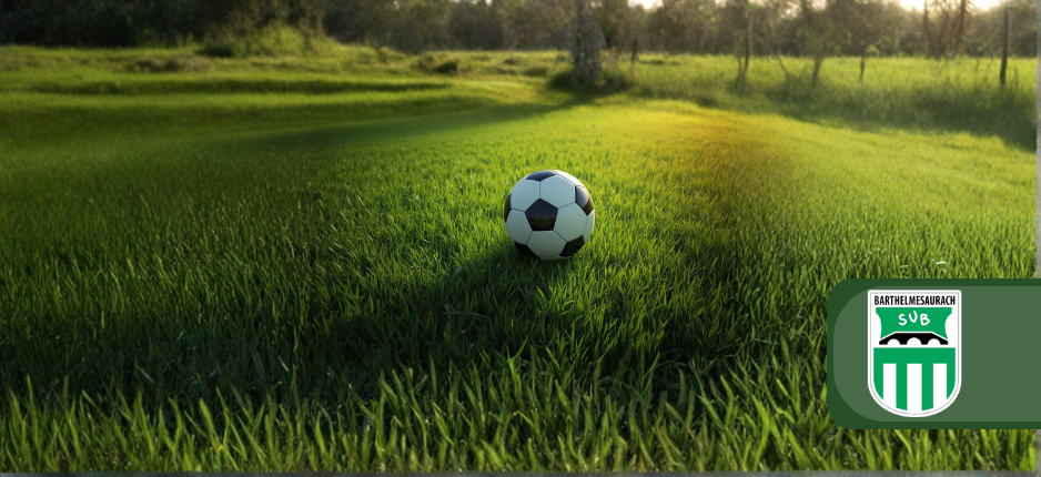 SV Barthelmesaurach e.V.: 40% Förderanteil für neue Rasenmäher